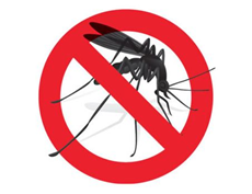 Lotta alla proliferazione delle zanzare