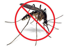 Campagna per la lotta alla diffusione delle zanzare
