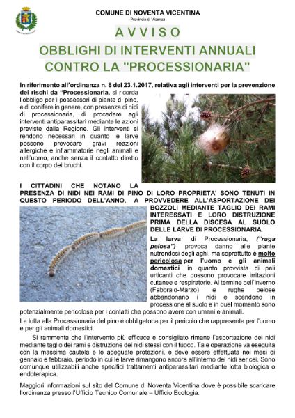 Avviso processionaria